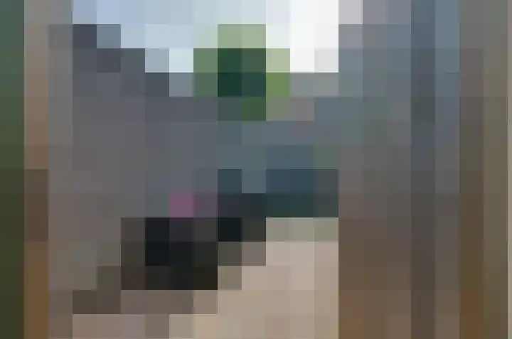 Saffierstoep 88 Assen thumbnail 25