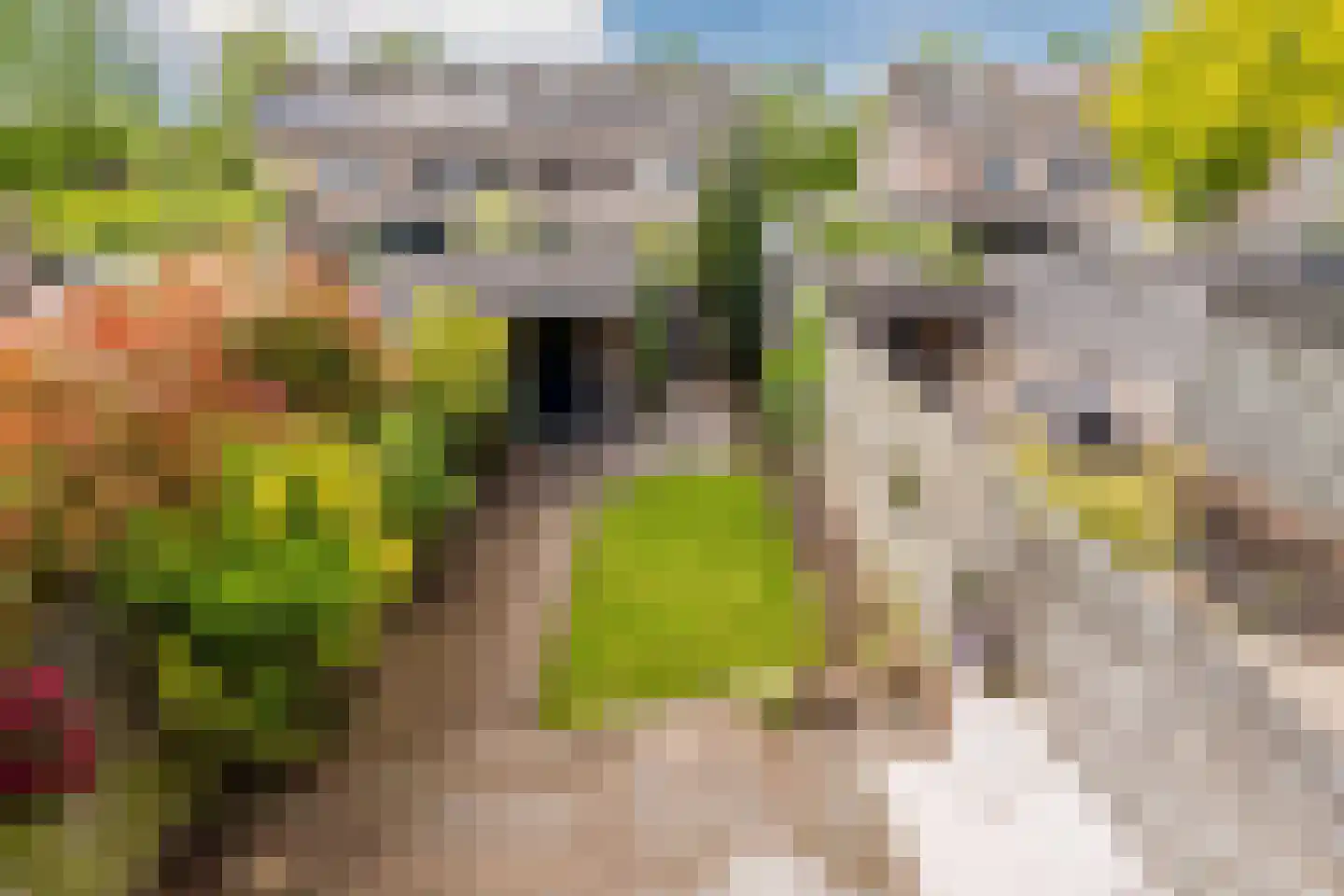 Saffierstoep 90 Assen thumbnail 32