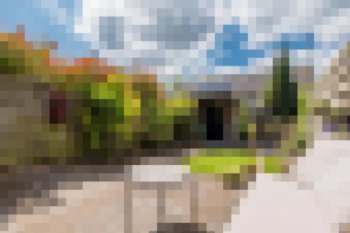 Saffierstoep 90 Assen thumbnail 34