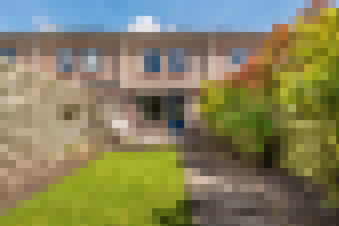 Saffierstoep 90 Assen thumbnail 36