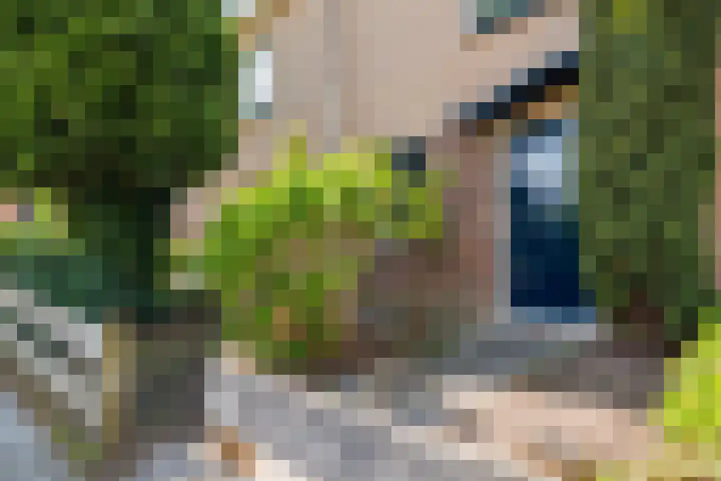 Saffierstoep 90 Assen thumbnail 4