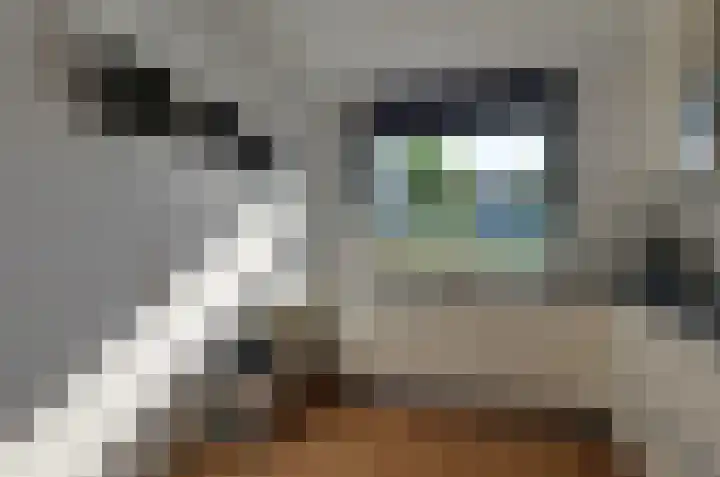 Saffierstoep 96 Assen thumbnail 13