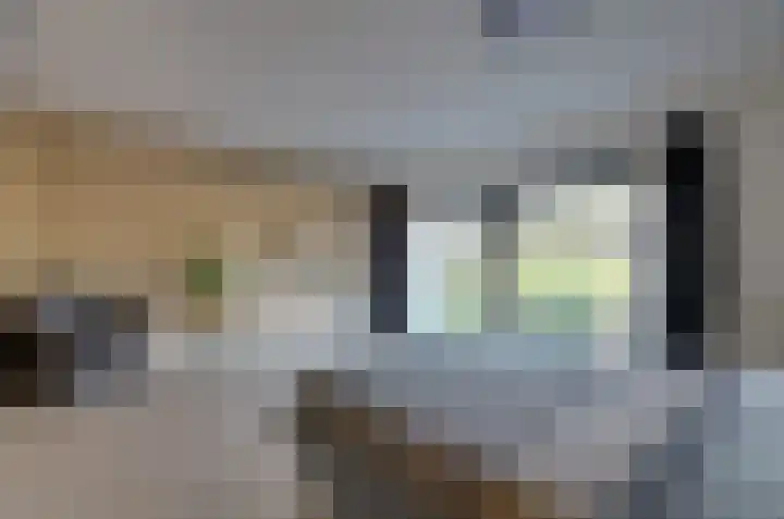 Saffierstoep 96 Assen thumbnail 17