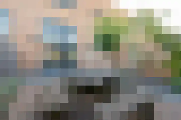 Saffierstoep 96 Assen thumbnail 30