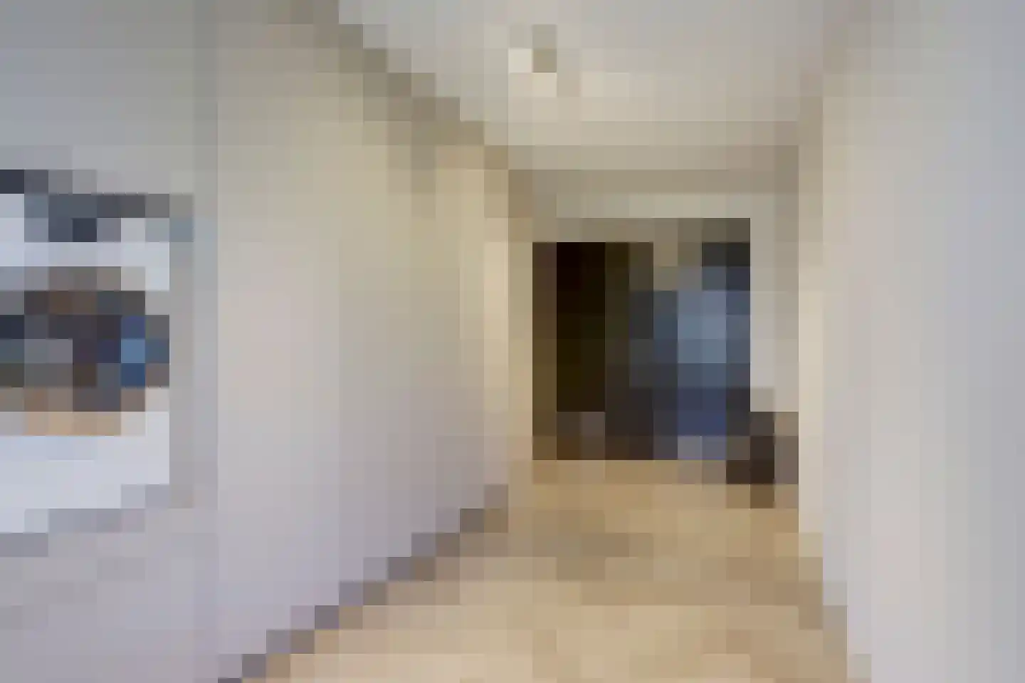 Saffierstraat 1 Almelo thumbnail 20