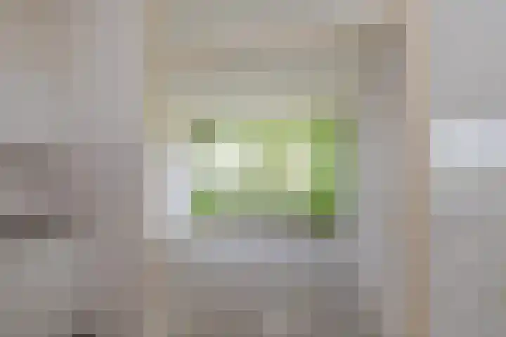 Saffierstraat 15 Alphen aan den Rijn thumbnail 6