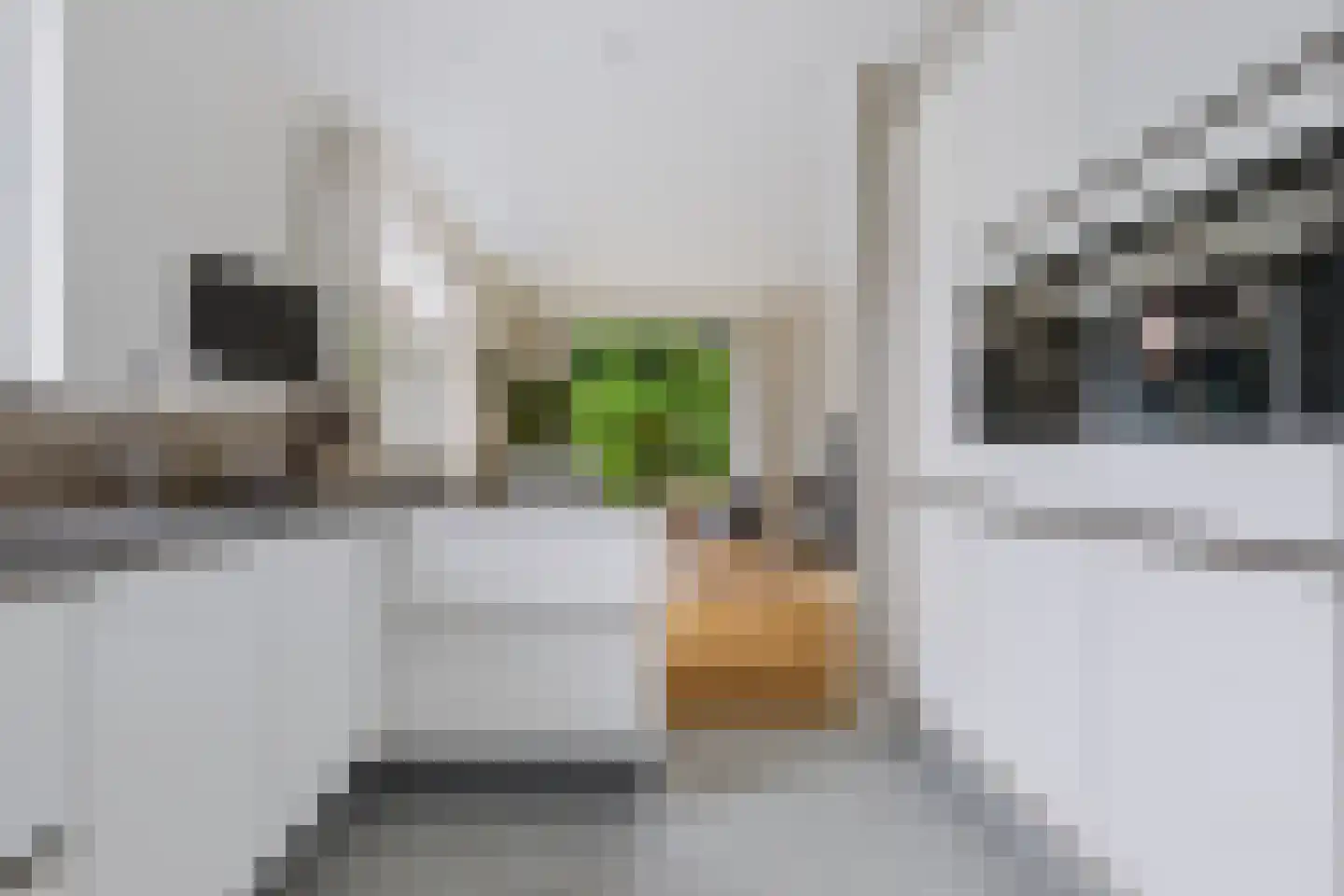 Saffierstraat 19 Apeldoorn thumbnail 14