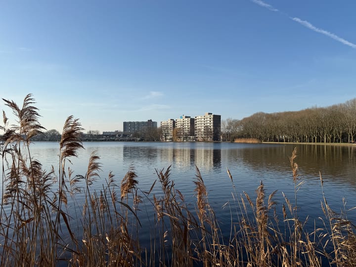 Photo de la maison Saffierstraat 21, Alphen aan den Rijn