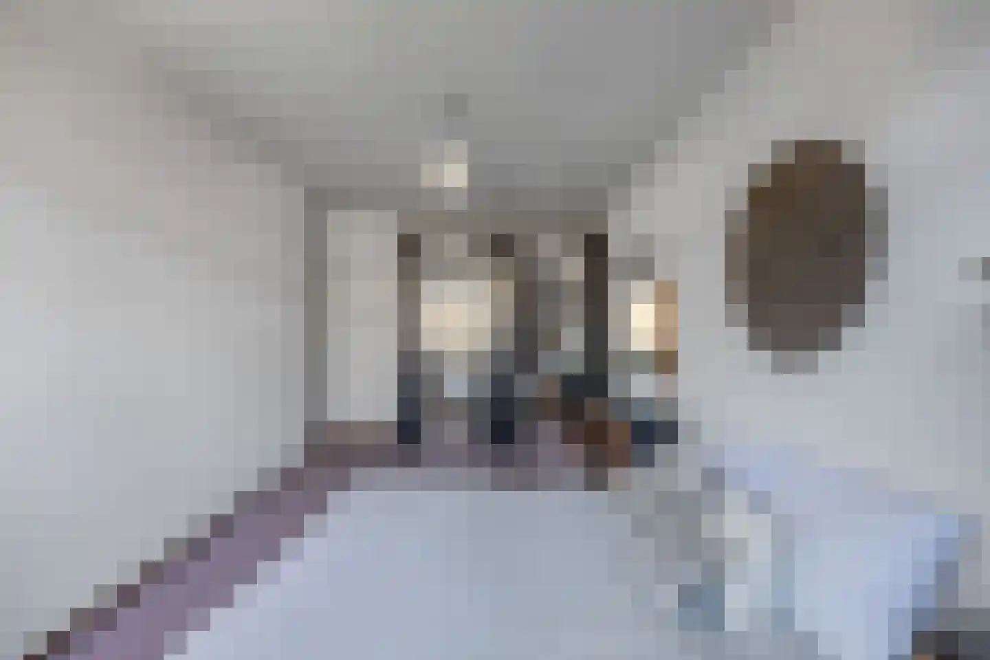 Saffierstraat 251 Alphen aan den Rijn thumbnail 31