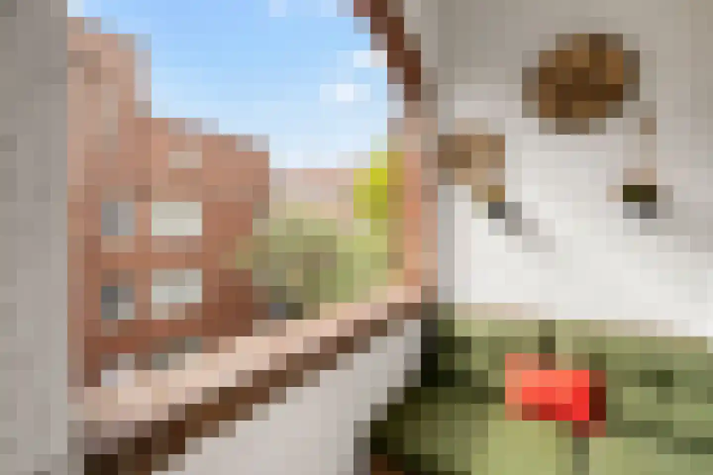 Saffierstraat 3 B Amsterdam thumbnail 10