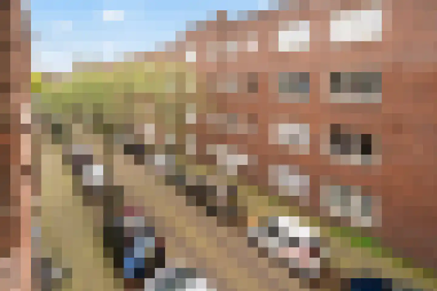 Saffierstraat 3 B Amsterdam thumbnail 12