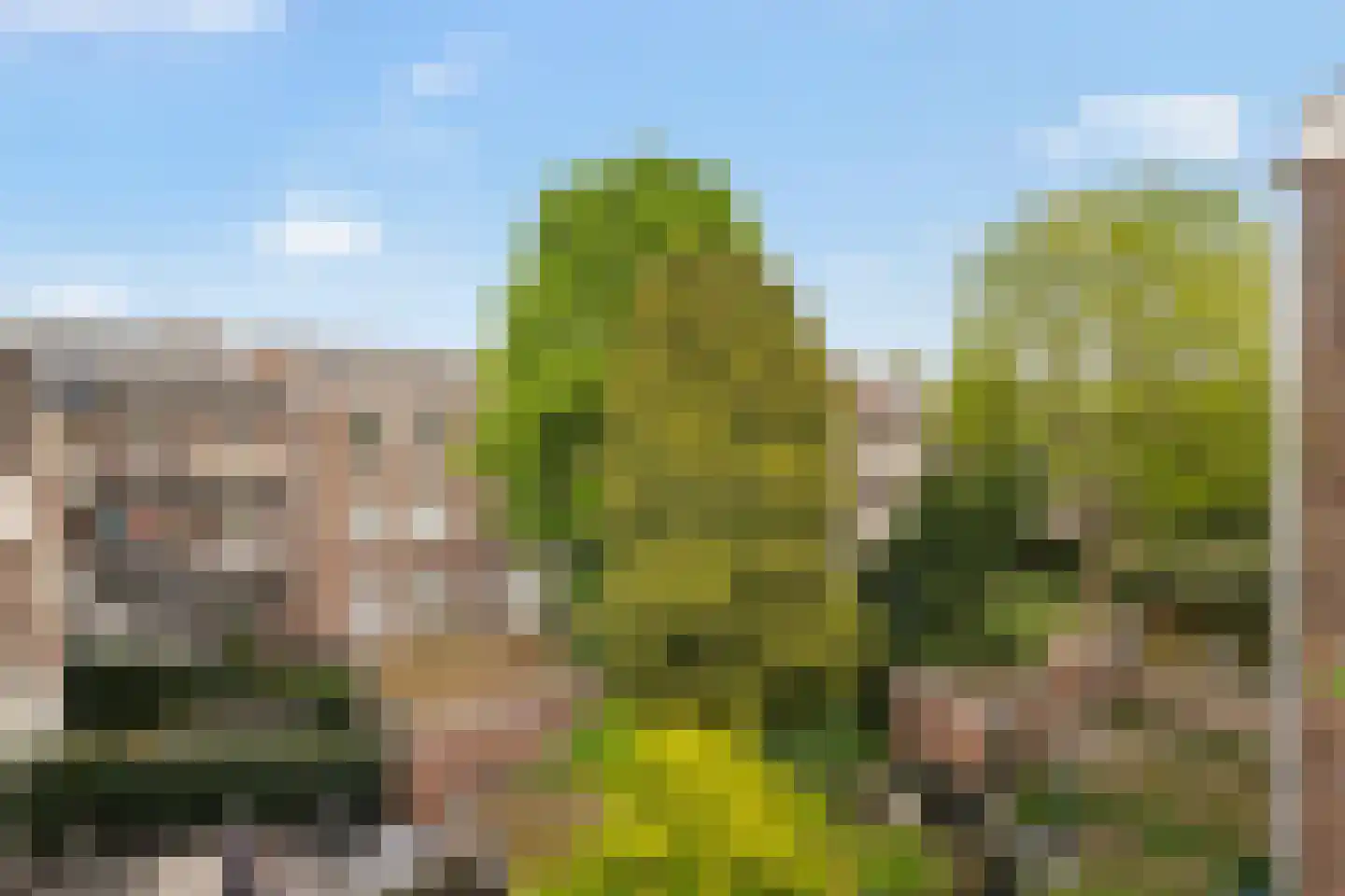 Saffierstraat 3 B Amsterdam thumbnail 17