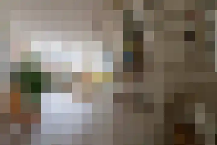 Saffierstraat 3 Groningen thumbnail 33