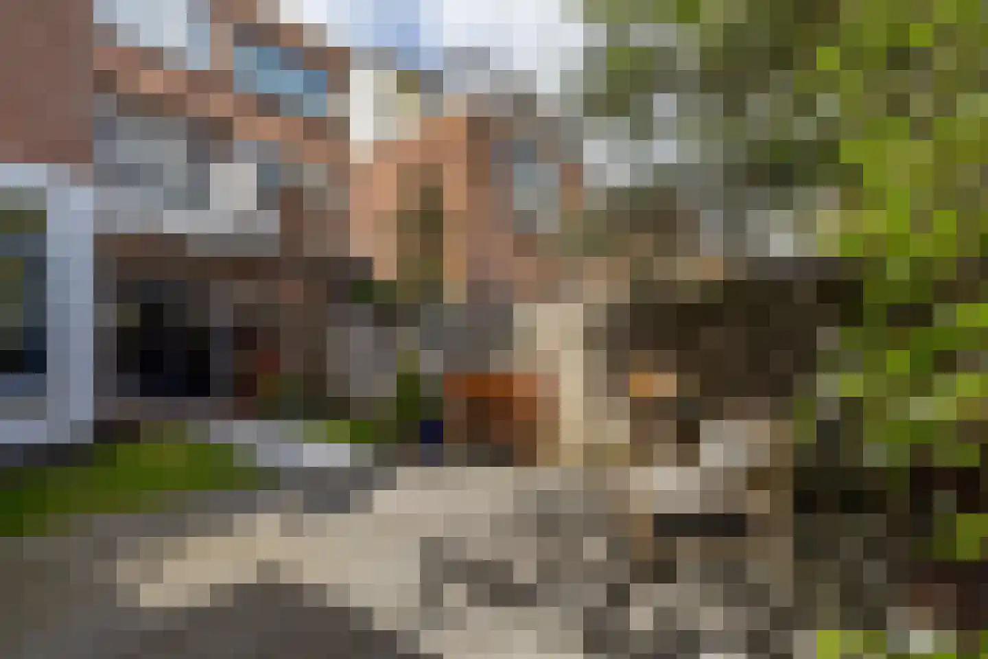 Saffierstraat 32 B Rotterdam thumbnail 31