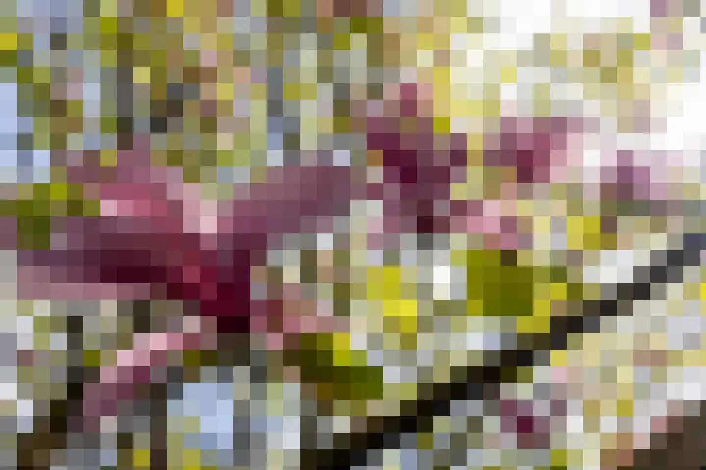 Saffierstraat 32 B Rotterdam thumbnail 36