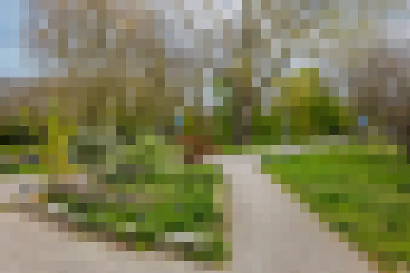 Saffierstraat 32 B Rotterdam thumbnail 37