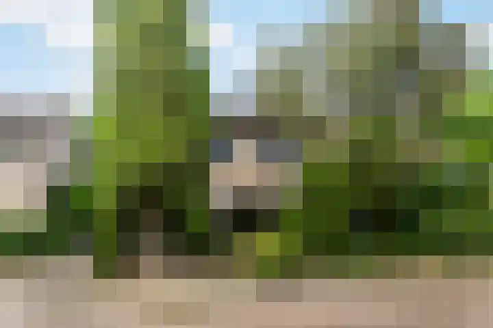 Saffierstraat 36 Apeldoorn thumbnail 32