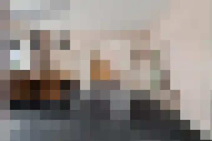 Saffraan 3 Klazienaveen thumbnail 11