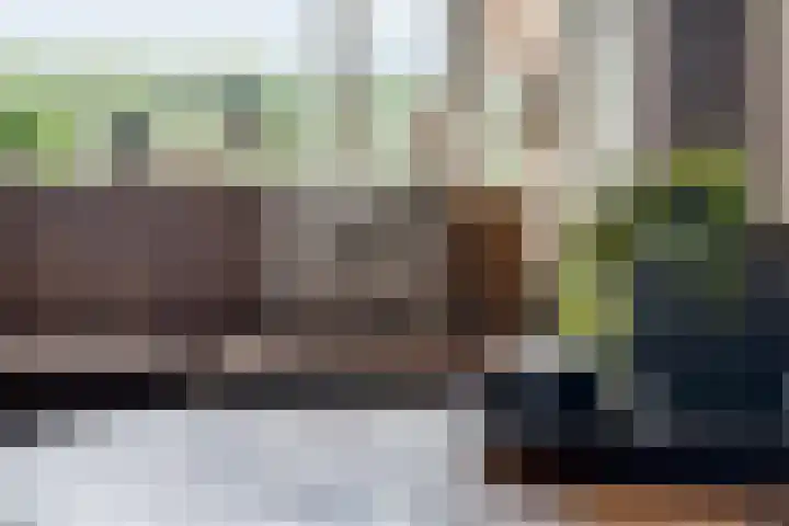 Saffraan 3 Klazienaveen thumbnail 14