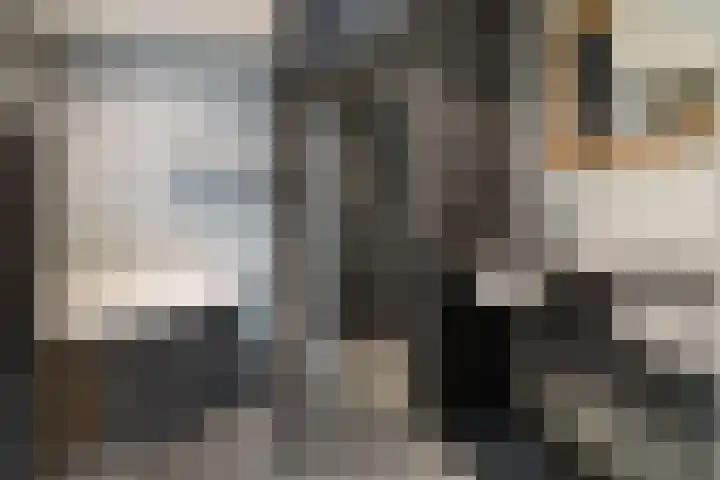 Saffraan 3 Klazienaveen thumbnail 28