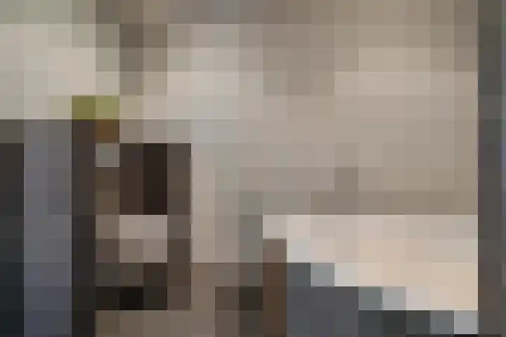 Saffraan 3 Klazienaveen thumbnail 30