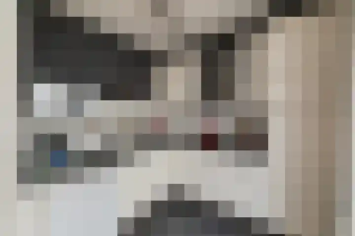 Saffraan 3 Raalte thumbnail 11