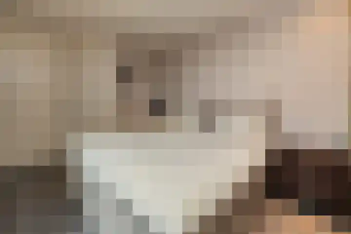 Saffraan 3 Raalte thumbnail 15