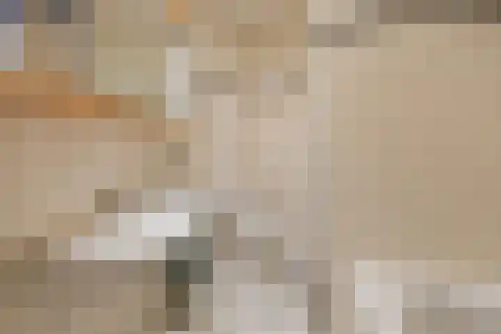 Saffraan 3 Raalte thumbnail 17