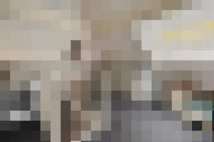 Saffraan 3 Raalte thumbnail 21