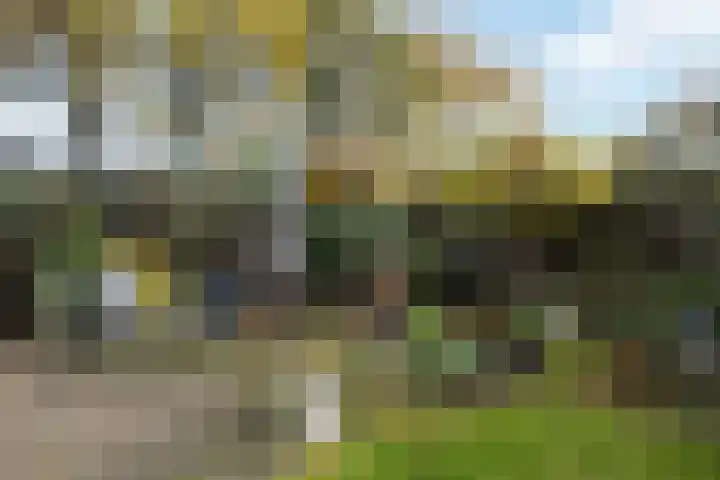 Saffraan 3 Raalte thumbnail 26