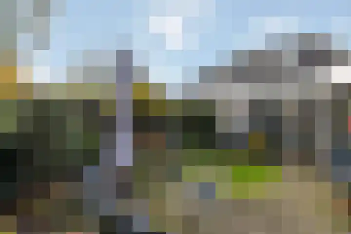 Saffraan 3 Raalte thumbnail 27