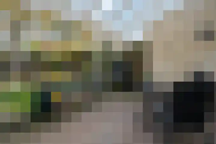 Saffraan 3 Raalte thumbnail 31
