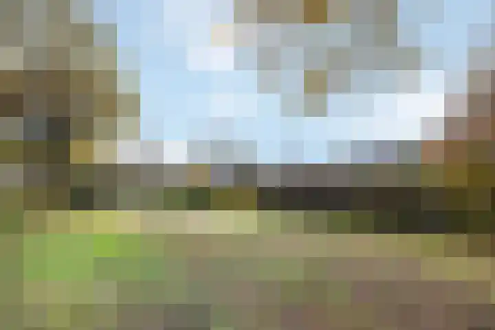 Saffraan 3 Raalte thumbnail 33