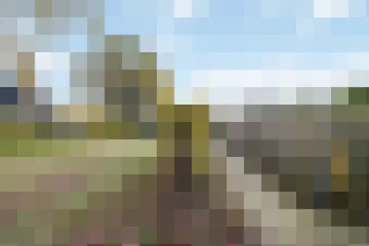 Saffraan 3 Raalte thumbnail 34