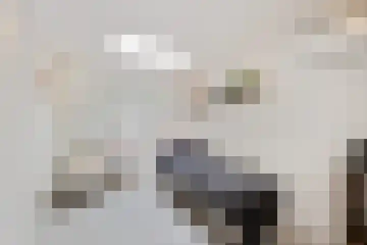 Saffraan 67 Raalte thumbnail 17