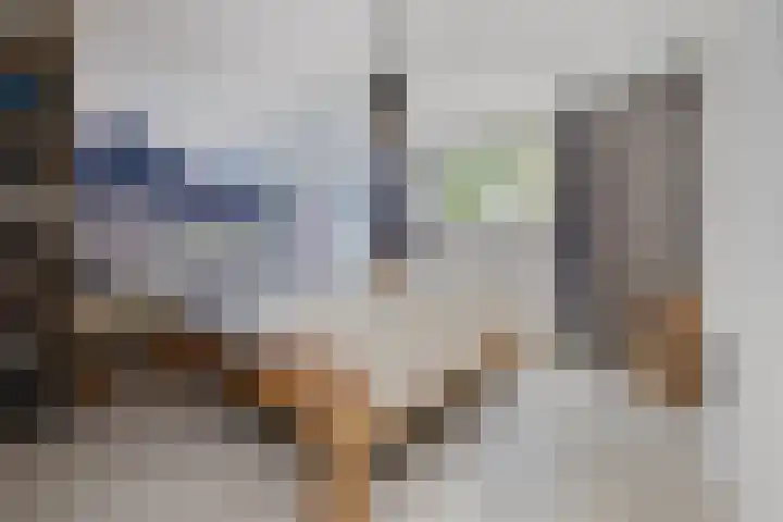 Saffraan 67 Raalte thumbnail 22