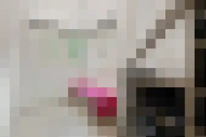 Saffraan 67 Raalte thumbnail 24