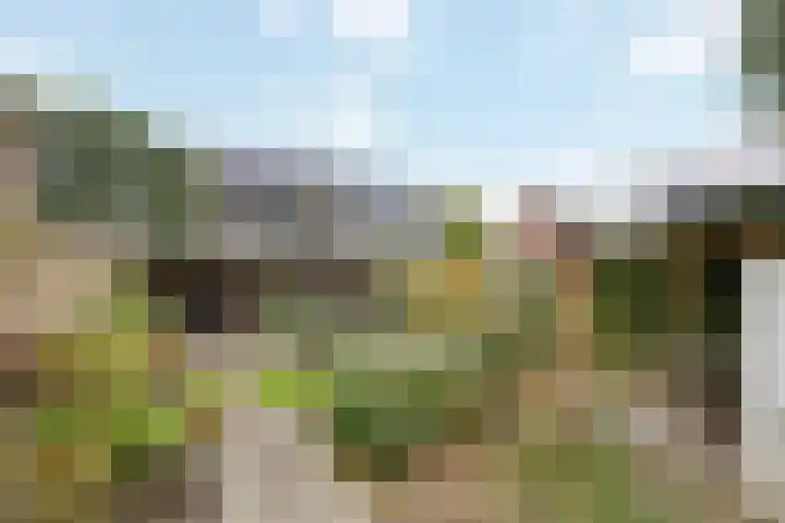 Saffraan 67 Raalte thumbnail 29