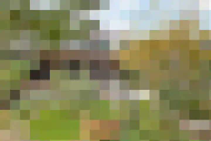 Saffraan 67 Raalte thumbnail 30