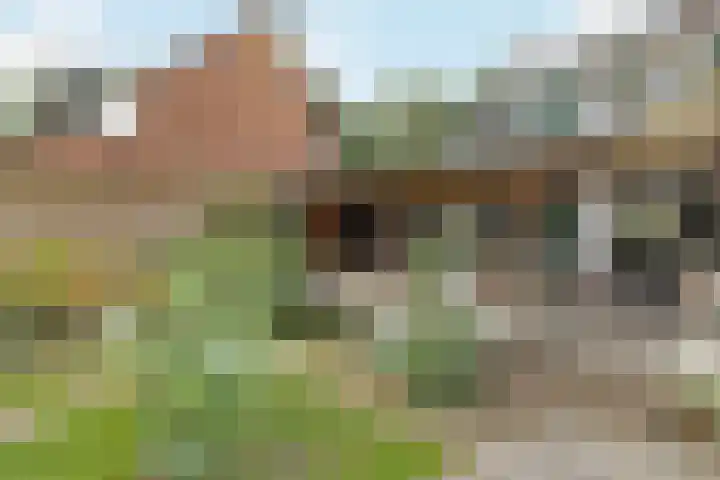 Saffraan 67 Raalte thumbnail 31