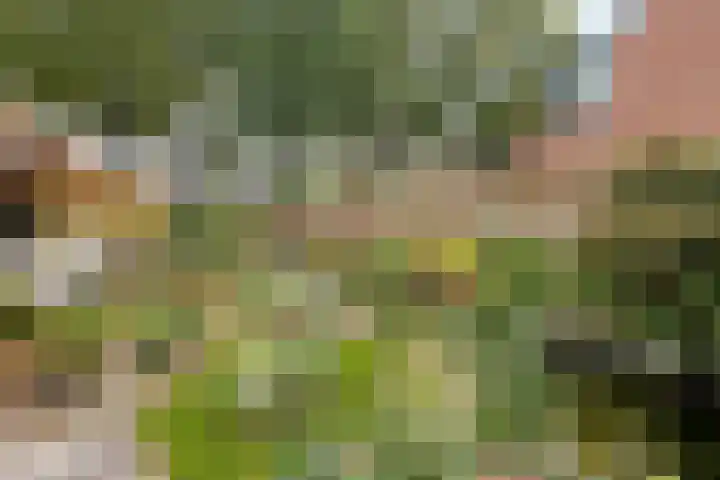 Saffraan 67 Raalte thumbnail 32