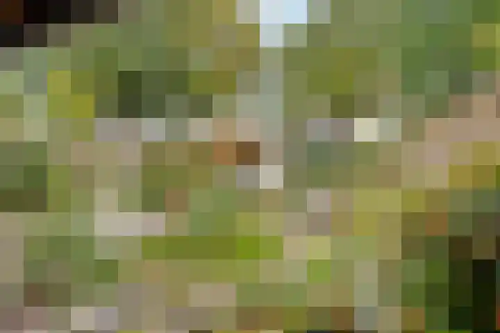 Saffraan 67 Raalte thumbnail 33
