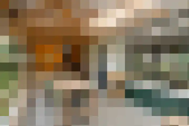 Saffraan 67 Raalte thumbnail 35