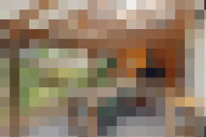 Saffraan 67 Raalte thumbnail 36