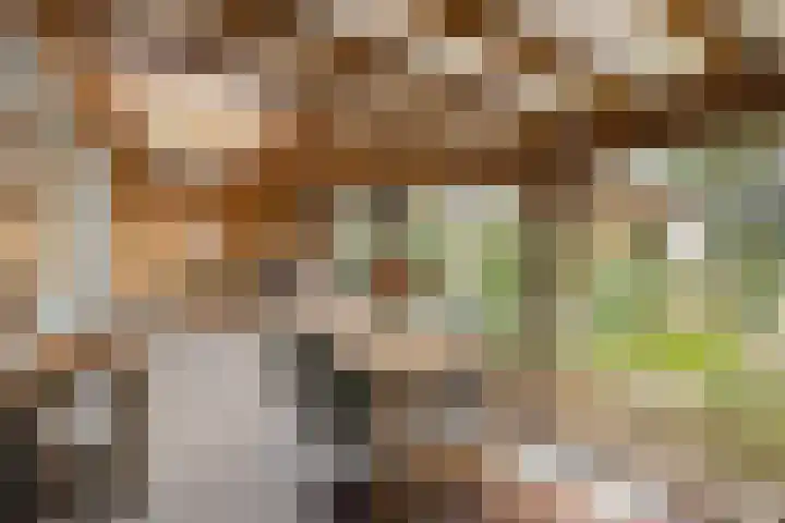 Saffraan 67 Raalte thumbnail 37