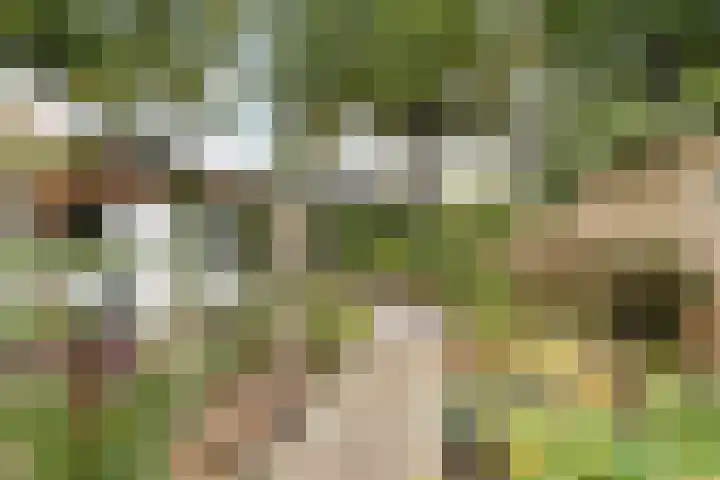 Saffraan 67 Raalte thumbnail 38