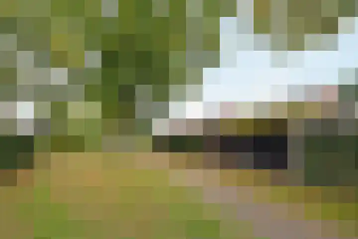 Saffraan 67 Raalte thumbnail 39