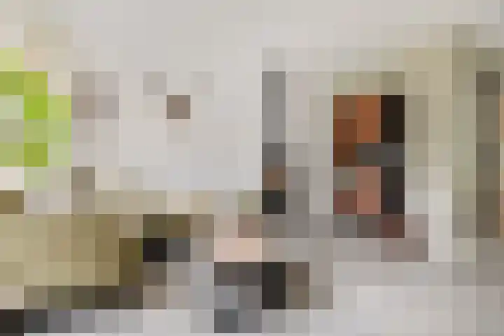 Saffraan 67 Raalte thumbnail 5