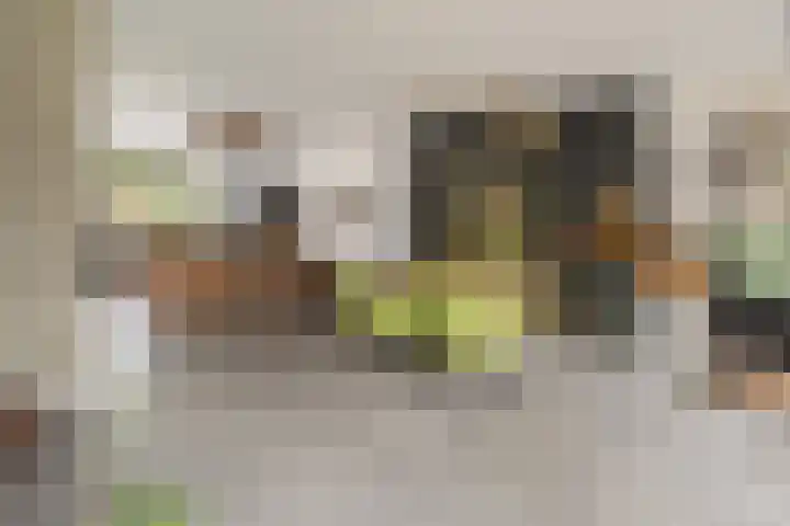 Saffraan 67 Raalte thumbnail 9
