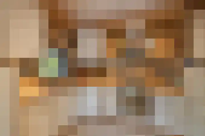 Saffraan 9 Raalte thumbnail 14